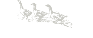 casa de bertoldi belluno logo
